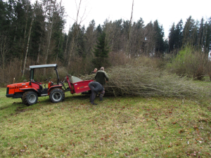 Abtransport Heckenschnitt klein