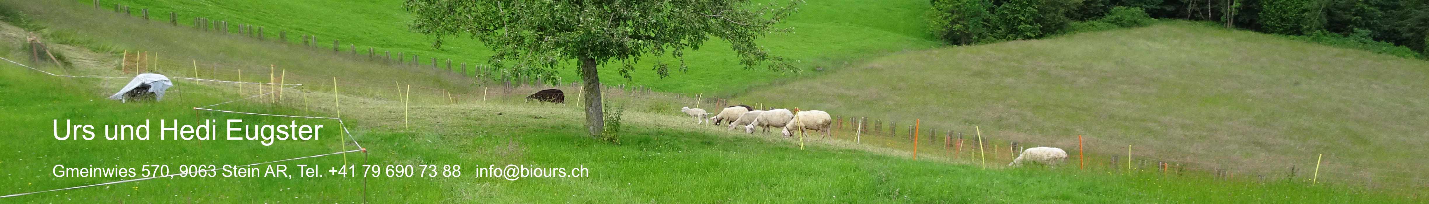 Hedi und Urs